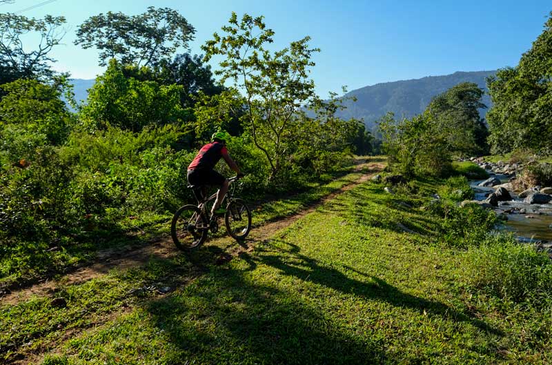 Biker riding on dirt path.