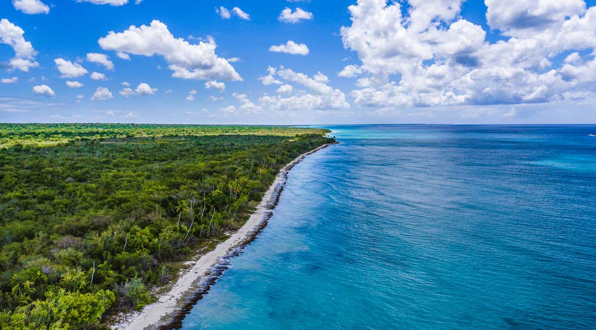 Dense forest of Cotubanama meets Caribbean sea.