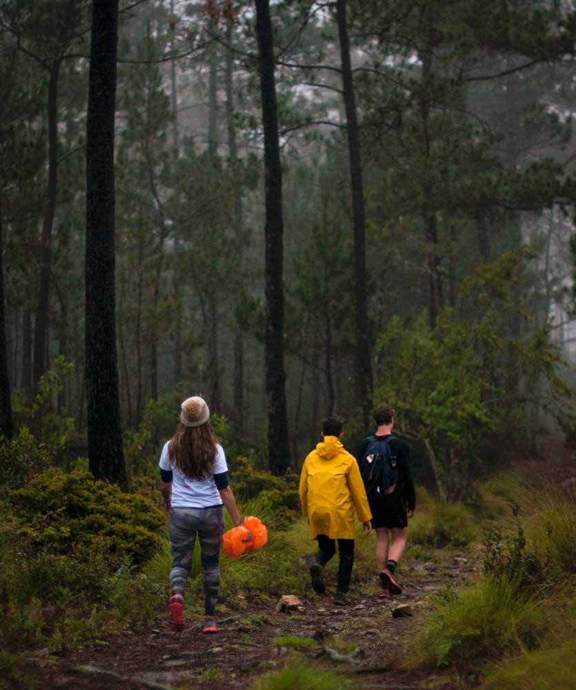 Teenagers walking through forest.