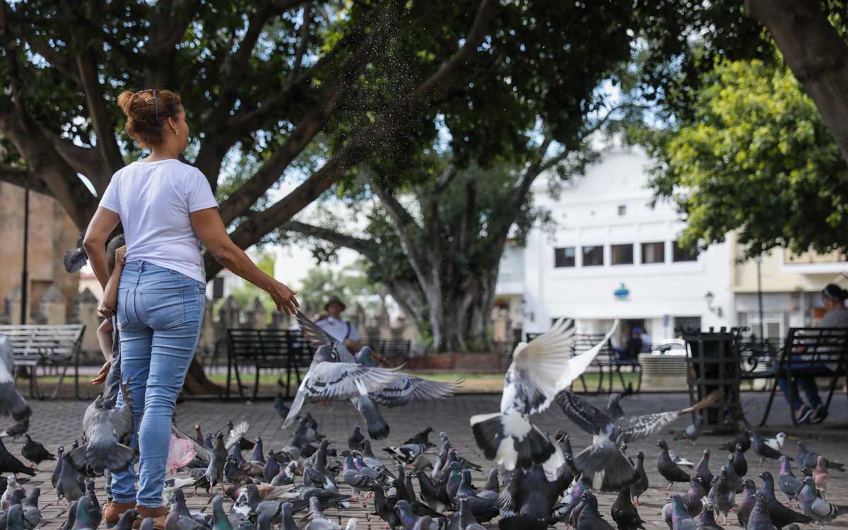 Woman feeding pigeons at Columbus Park in Santo Domingo.