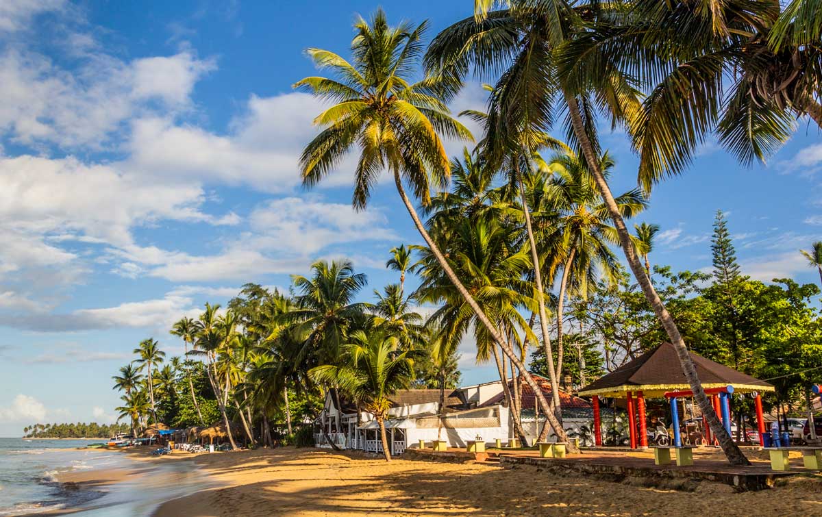A coconut-palm sandy beach along the ocean shore - stretching out into the distance, close to the town park in Las Terrenas Samaná in Dominican Republic.