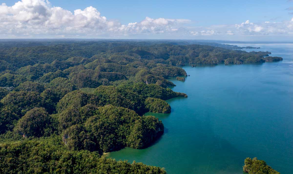 The dense wet forests of Los Haitises National Park in Samaná meeting with the still Atlantic waters in the Bay of Samaná Dominican Republic.