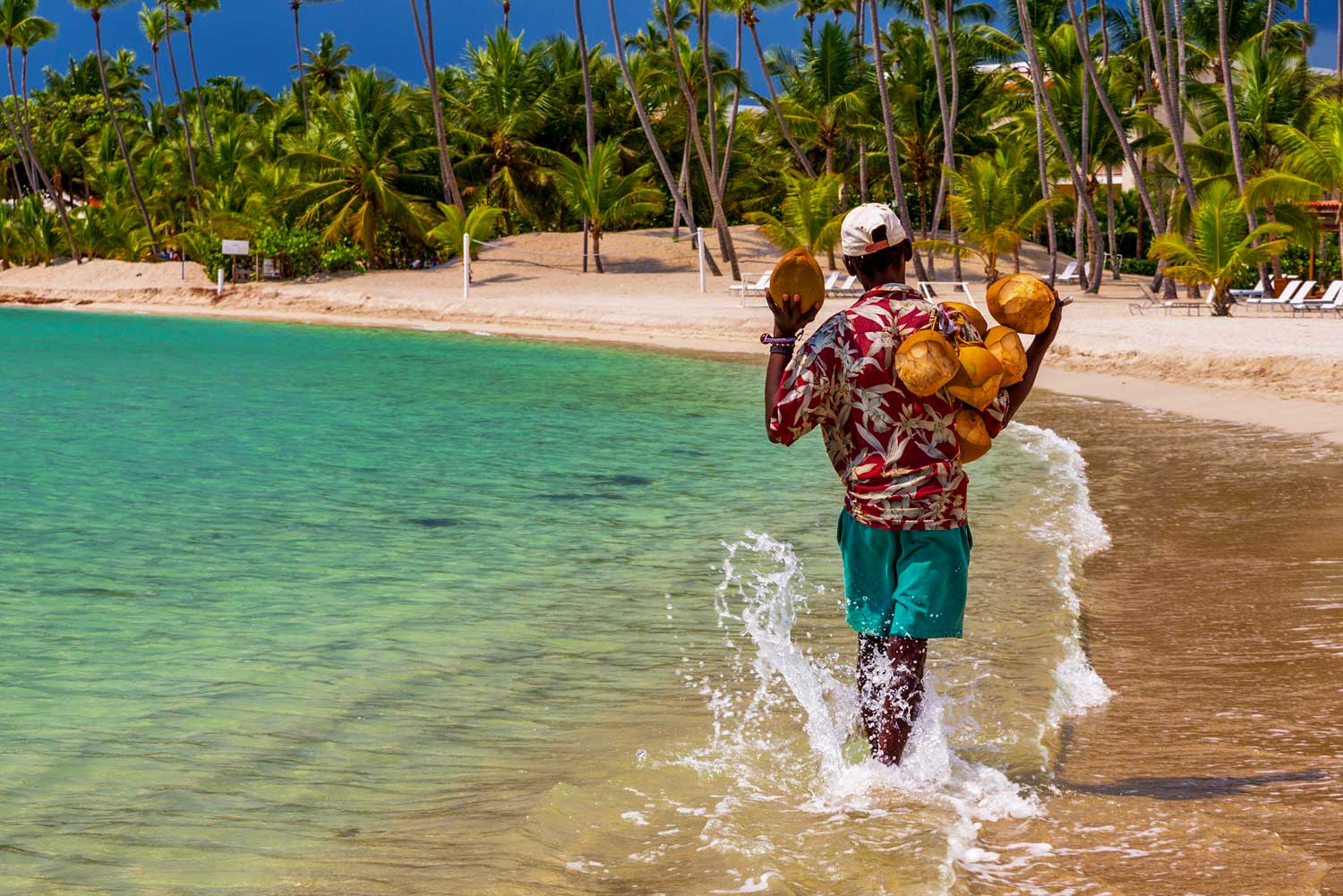 Beach coconut vendor walking on the shore.