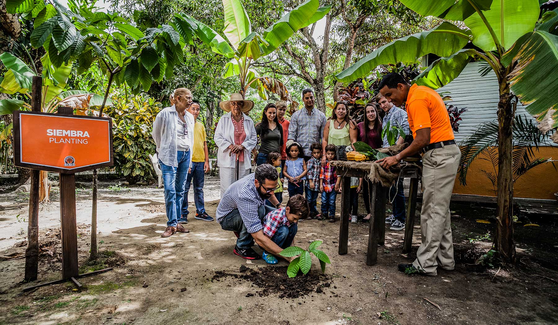 Granja de chocolate El Sendero del Cacao: Willy Wonka se encuentra con el  ecoturismo caribeño · Visit Dominican Republic